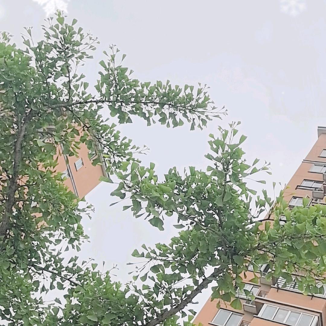 家 有 熠 宝