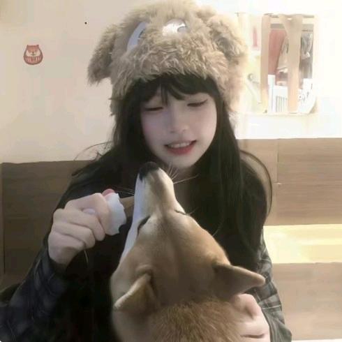 芝士奶盖呼噜噜