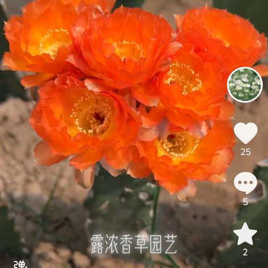 马汝坤开心夏令营