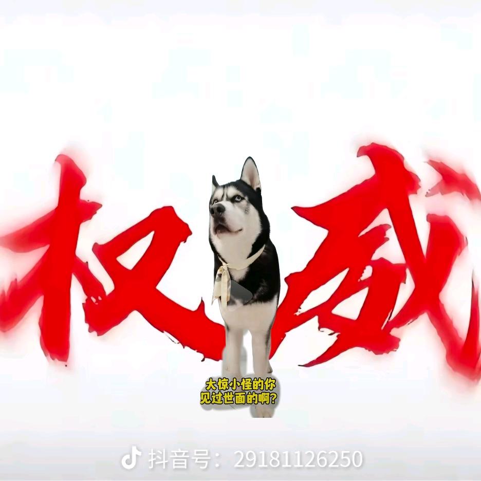 螺旋烈火