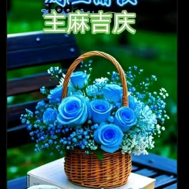 落落大方🌹🌹