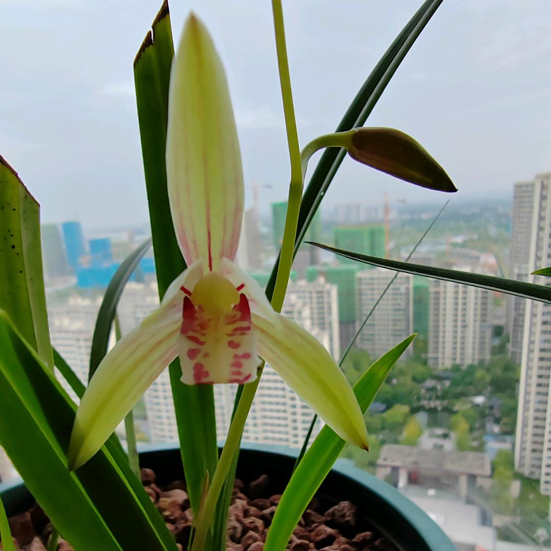 健康是福