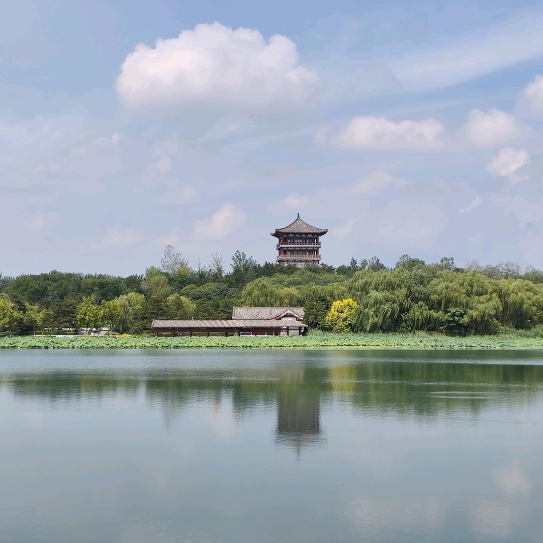 粘不住的万能胶
