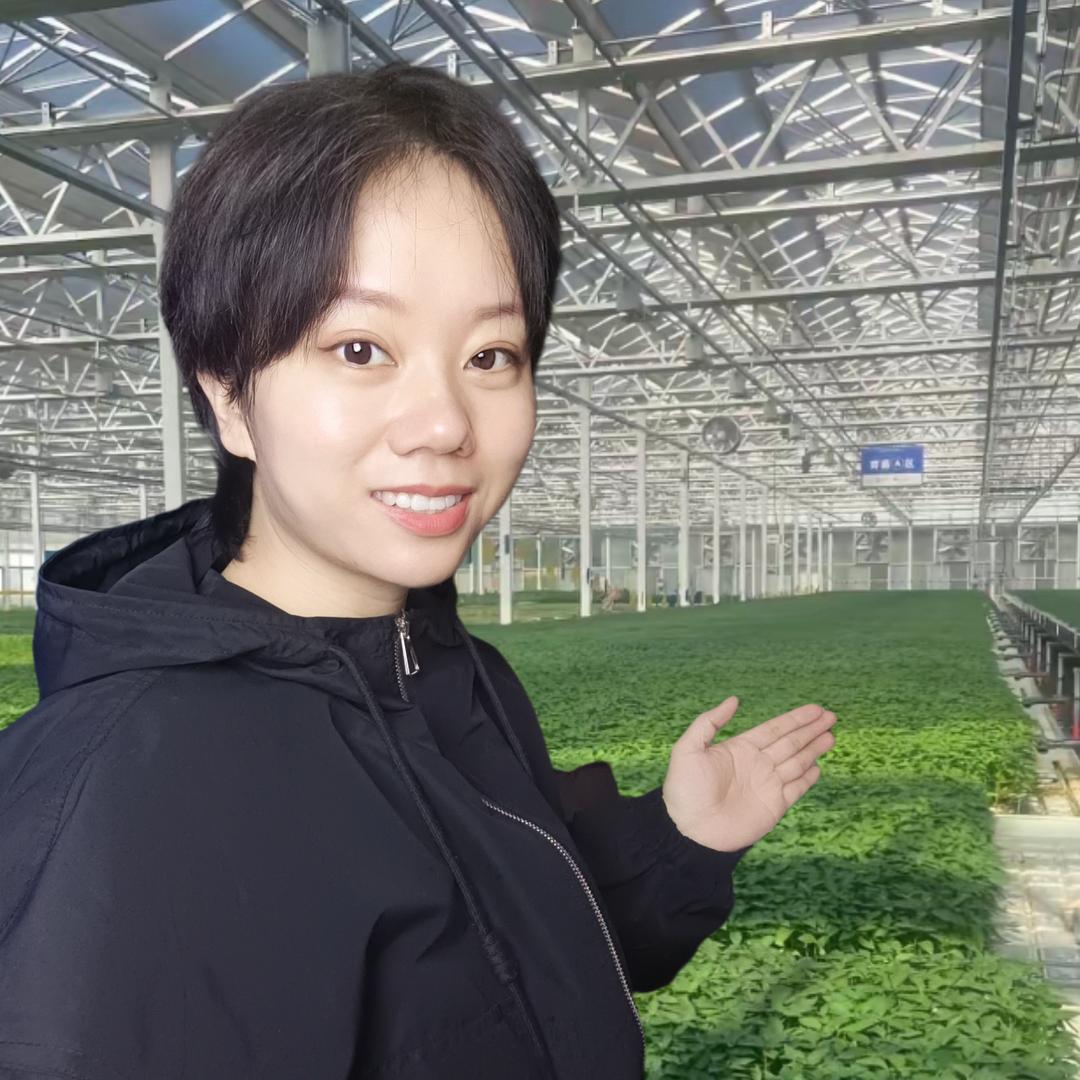 农种飞妹