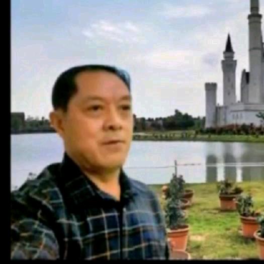 迪明剪辑