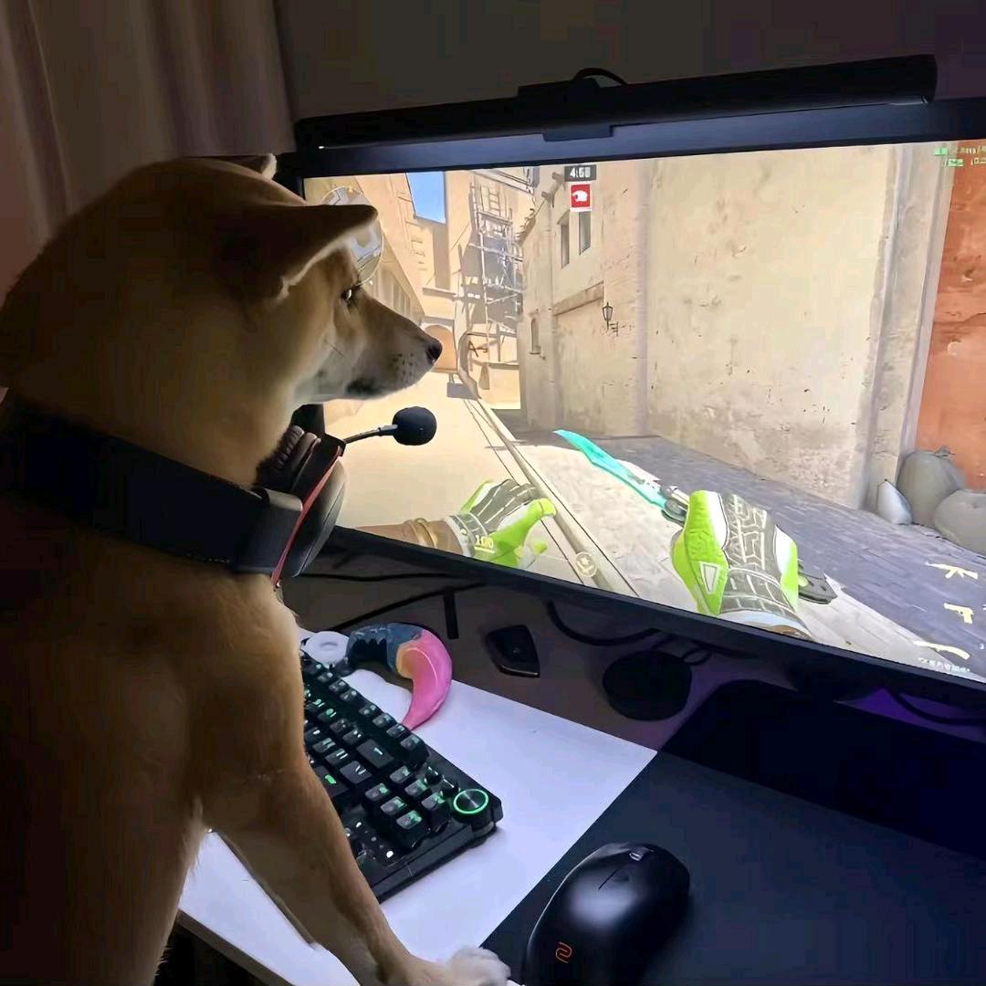 小学生（毕业版）