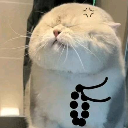 李三皮（唐先森团队）