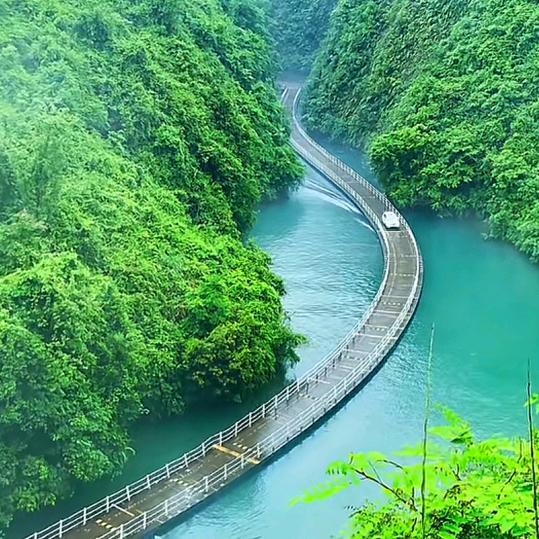 沉默