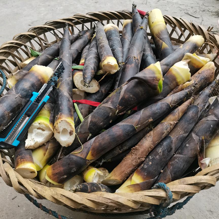 巴州区鼎山镇秋桂村正华土特产销售部