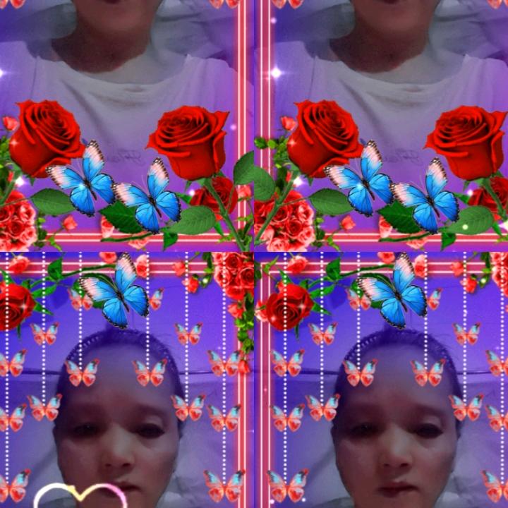 花好月圆