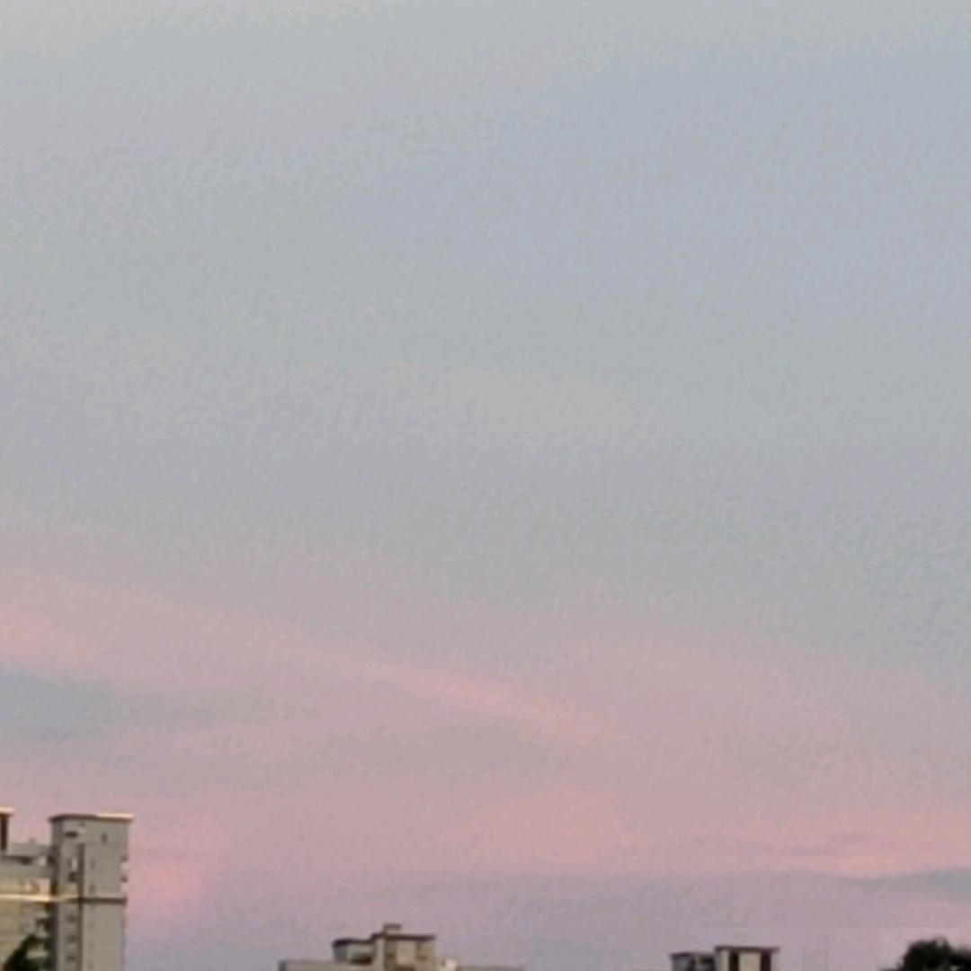 甜甜奶喵乂主播