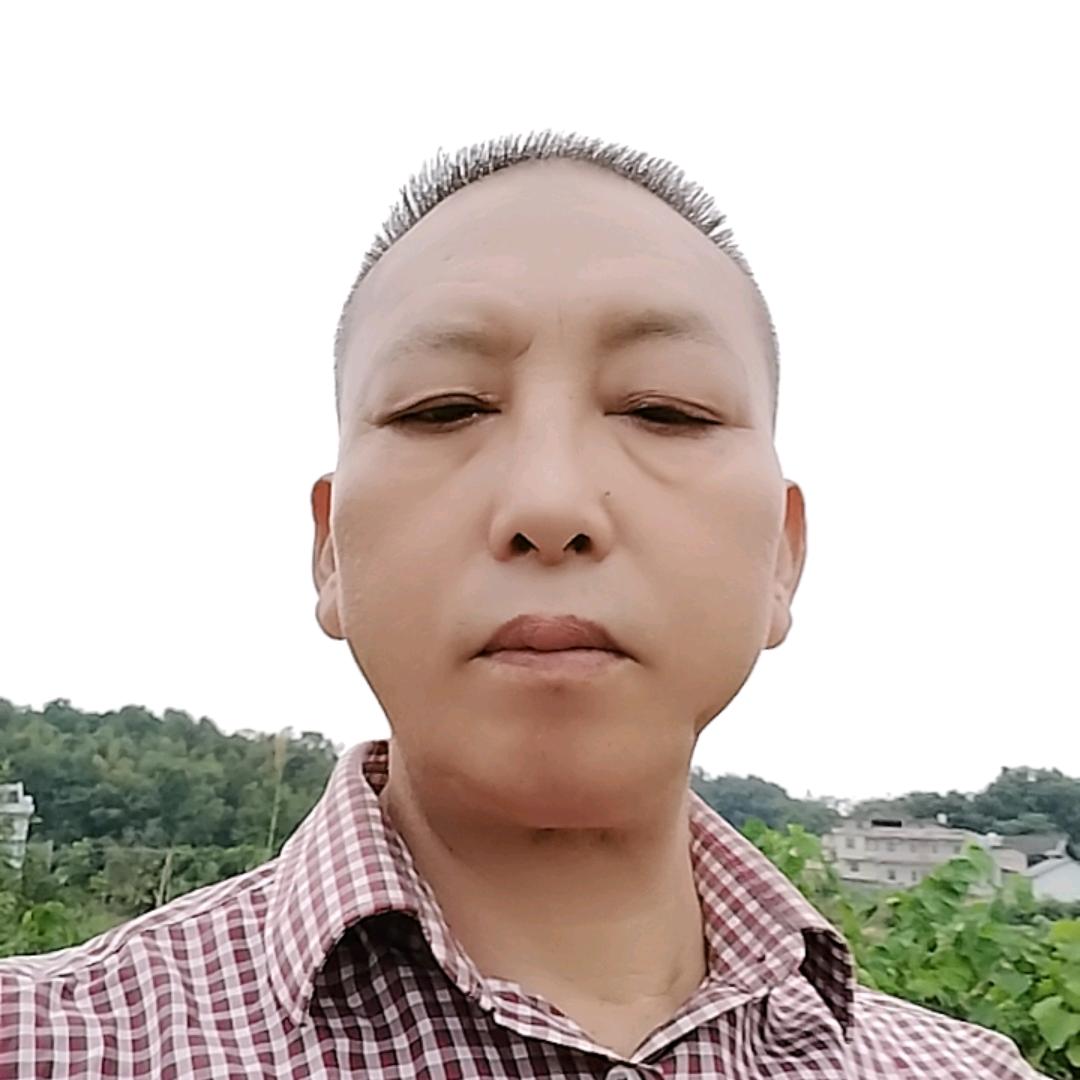卫哥
