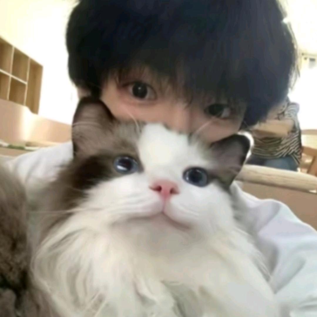爱猫少年