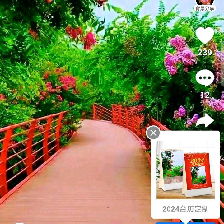 冫开心