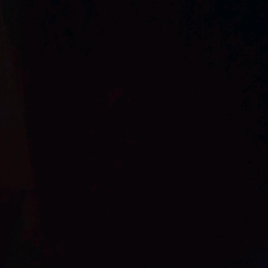 香蕉你个不呐呐