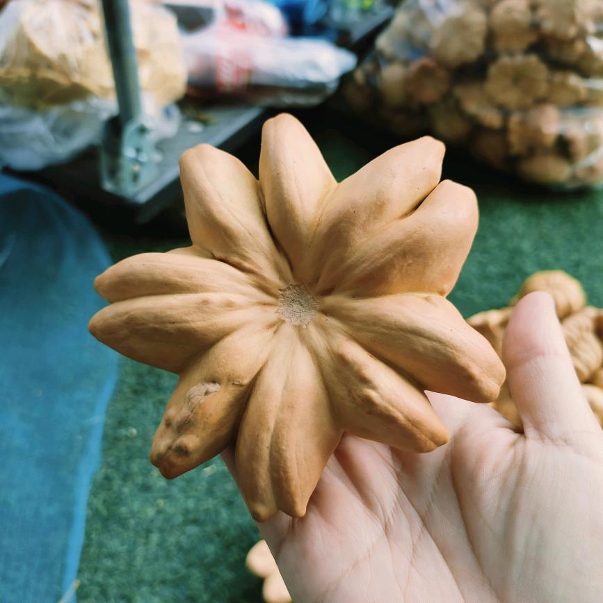 小李葫芦批发零售