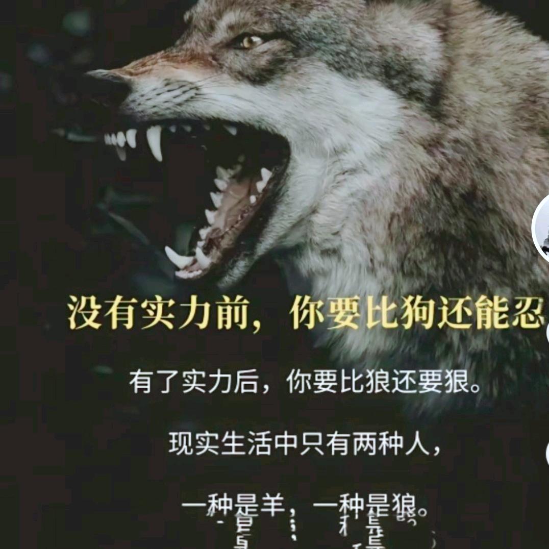 蔡袁广进