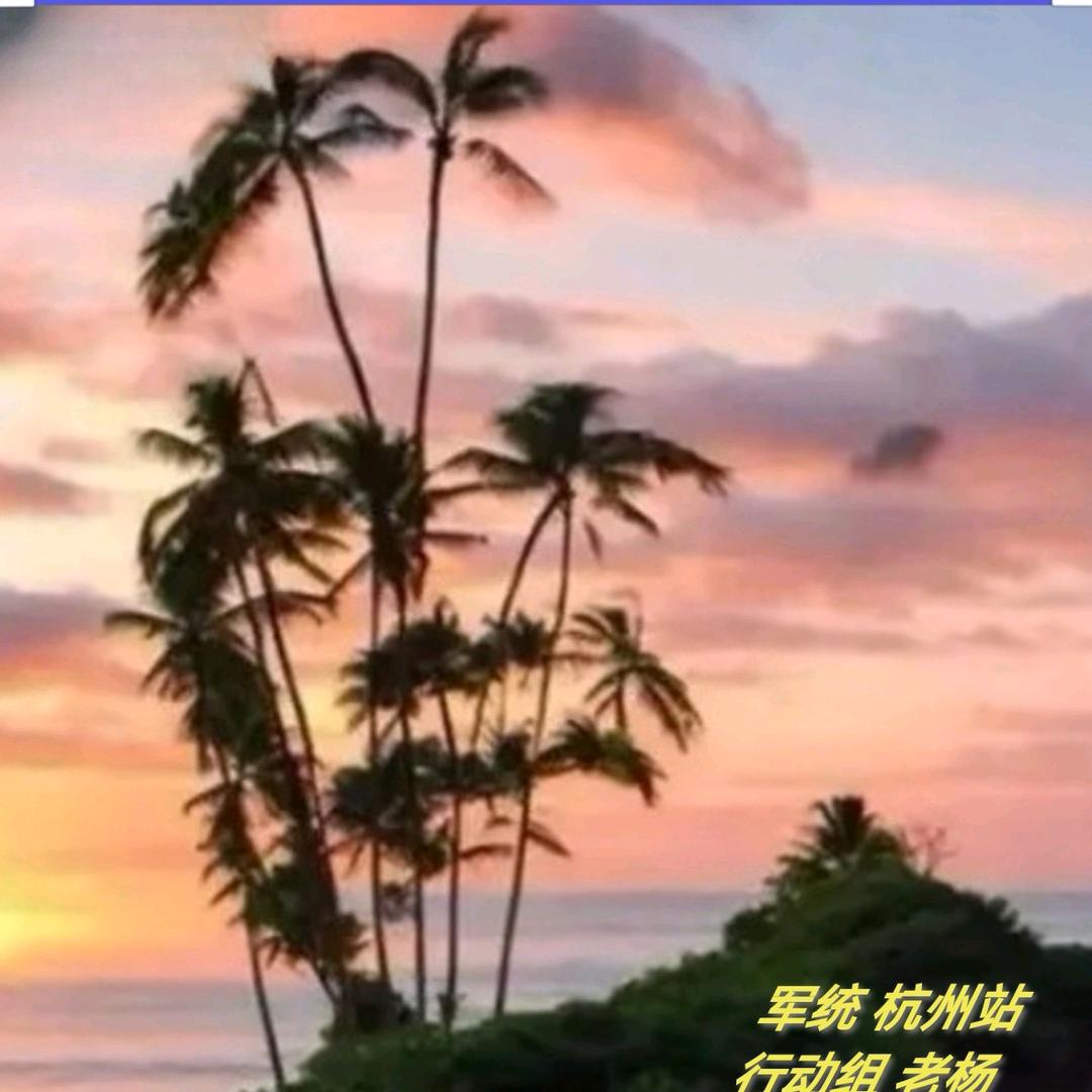 箴言(中国)传播