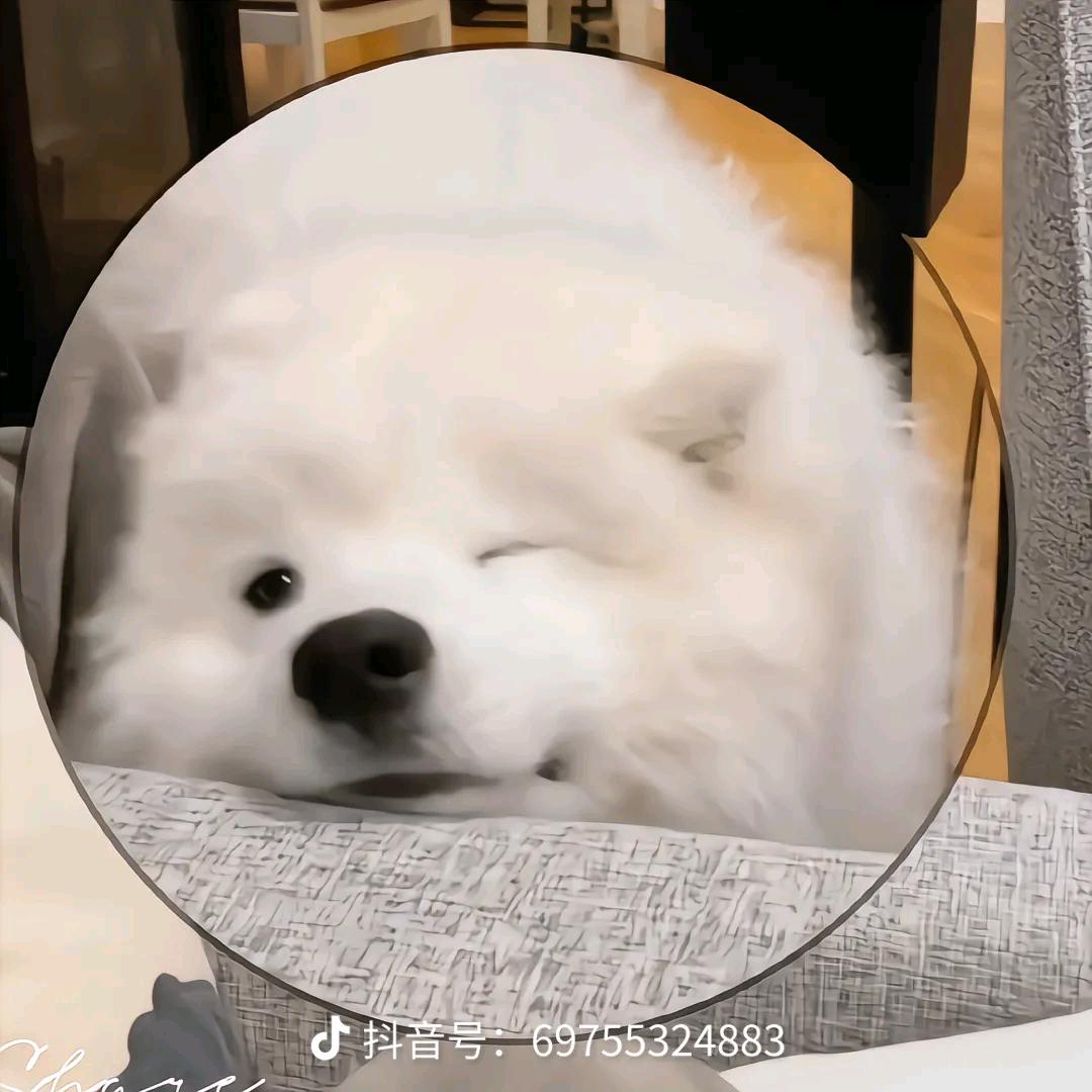 温吞世俗
