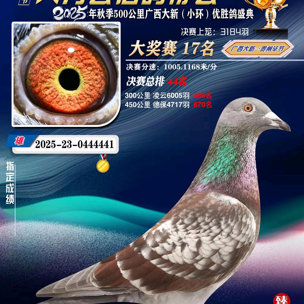 大方骞翔信鸽俱乐部