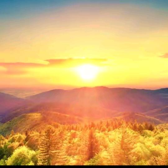 ☀️阳光