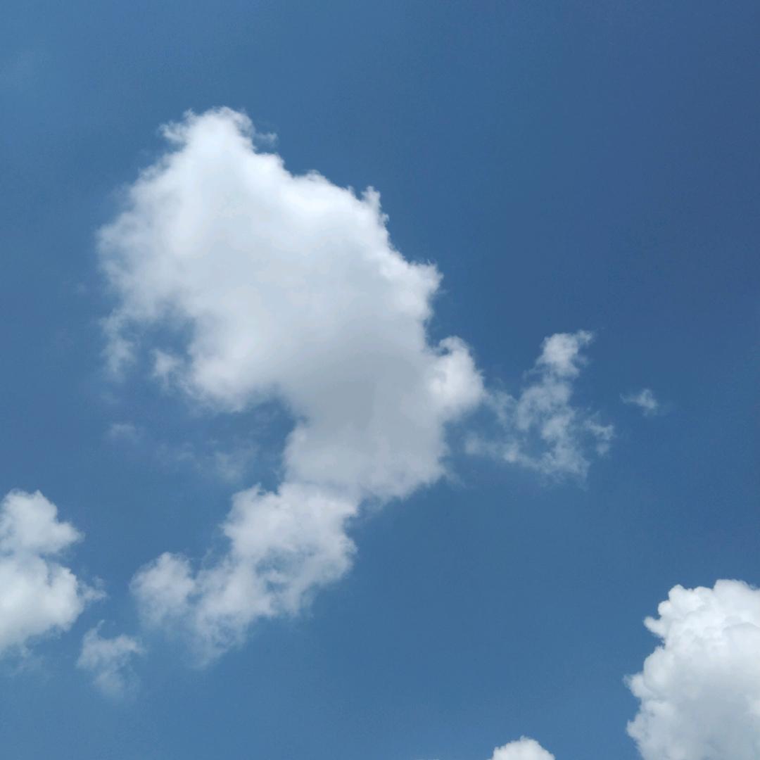 🌹岁月静好🌷💐🌻