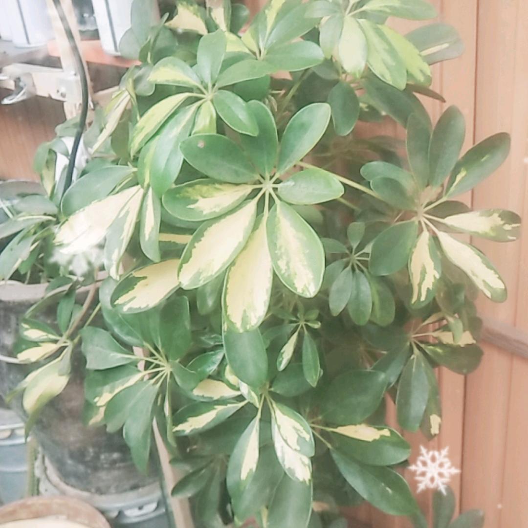 钟姐@