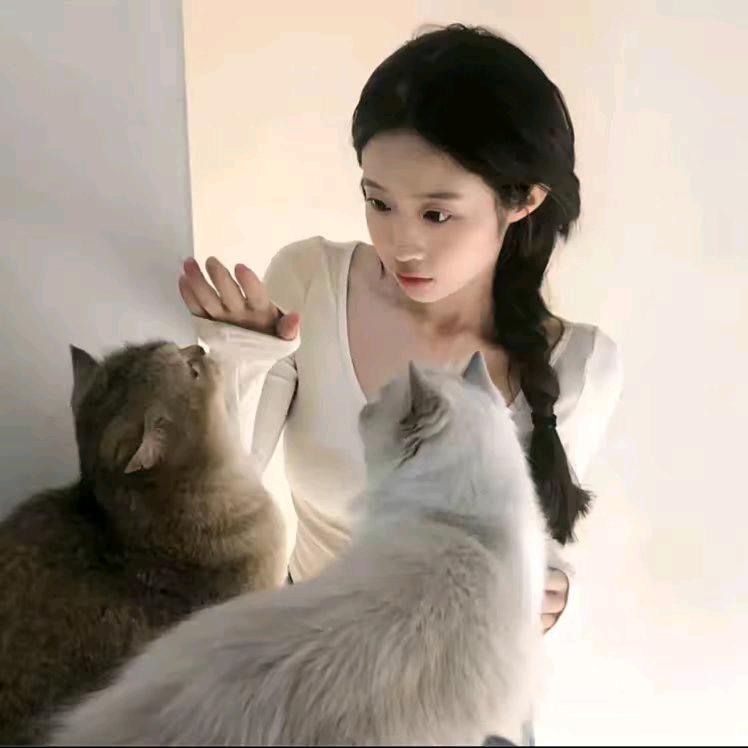 鱿鱼小᳐猫᳐੭🐾