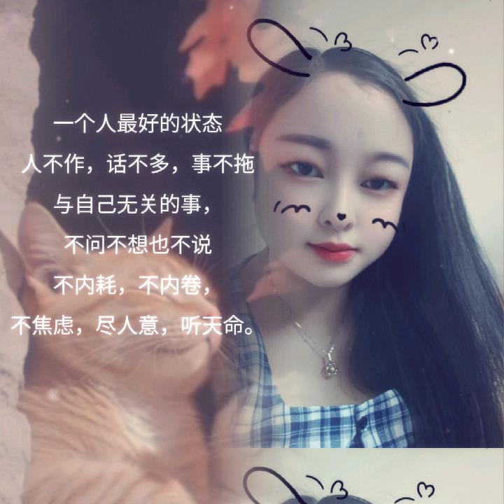 湿了旧〥街痛了心