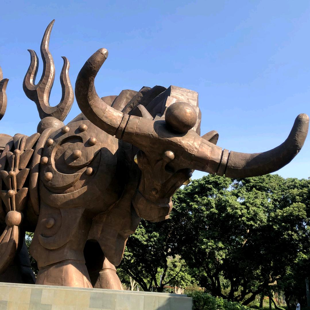 林 泽 涛