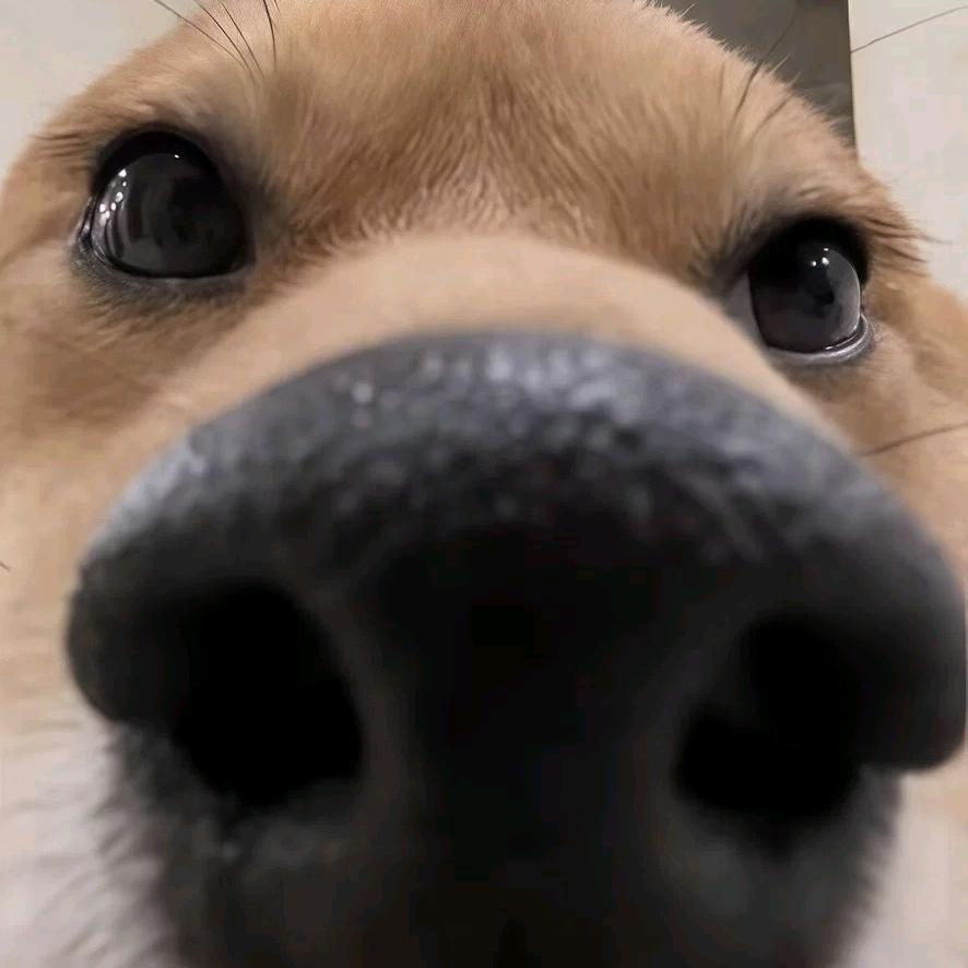 王不中。