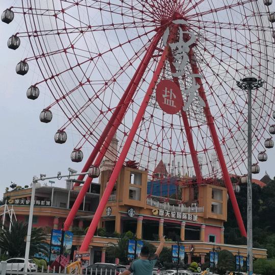 鳄鱼的眼泪