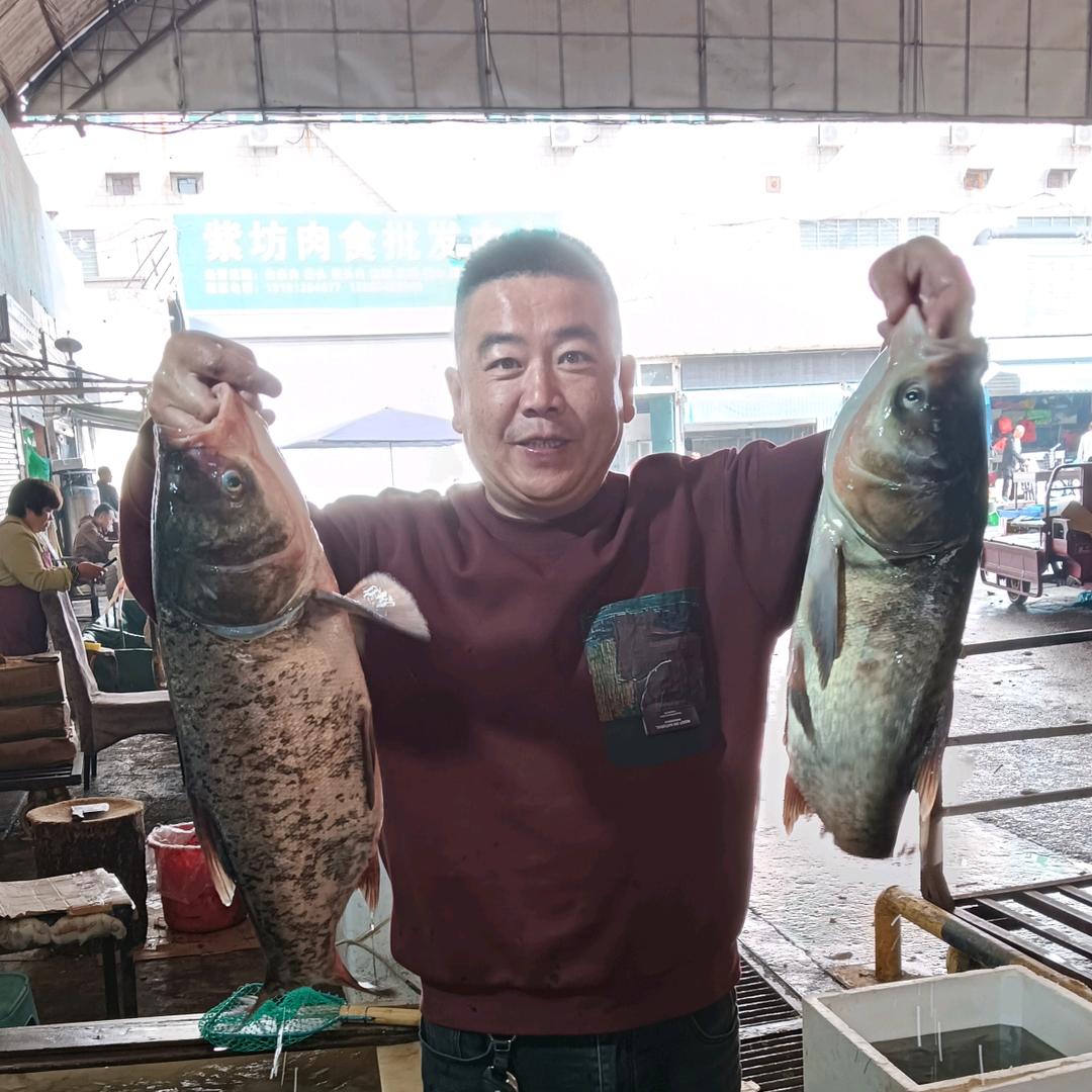 老胖农家炖鸡鱼🐟