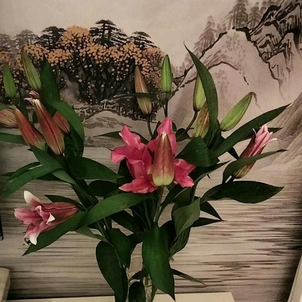 晚秋