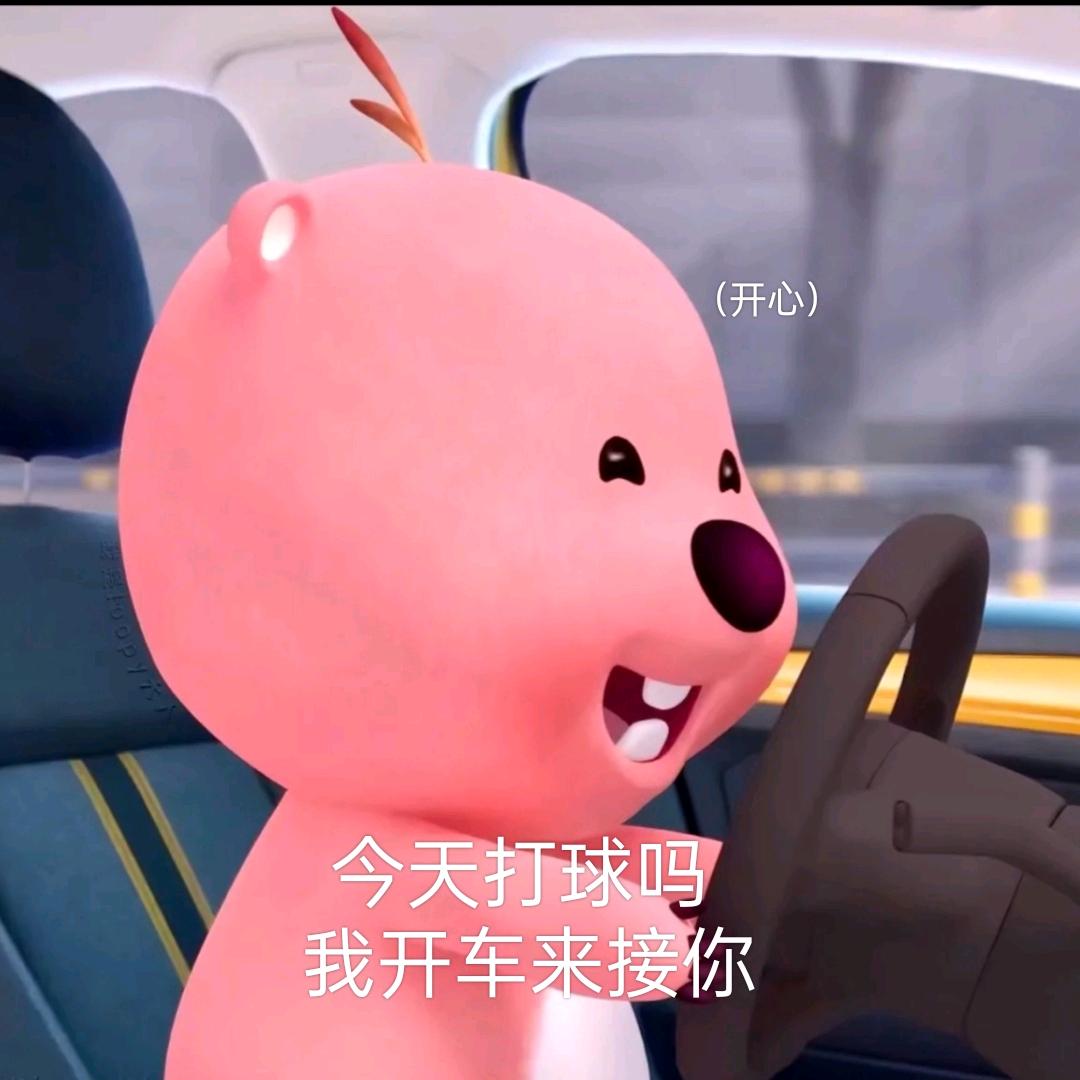 北网网球🎾🐑