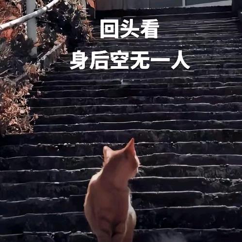 人一定要靠自己！