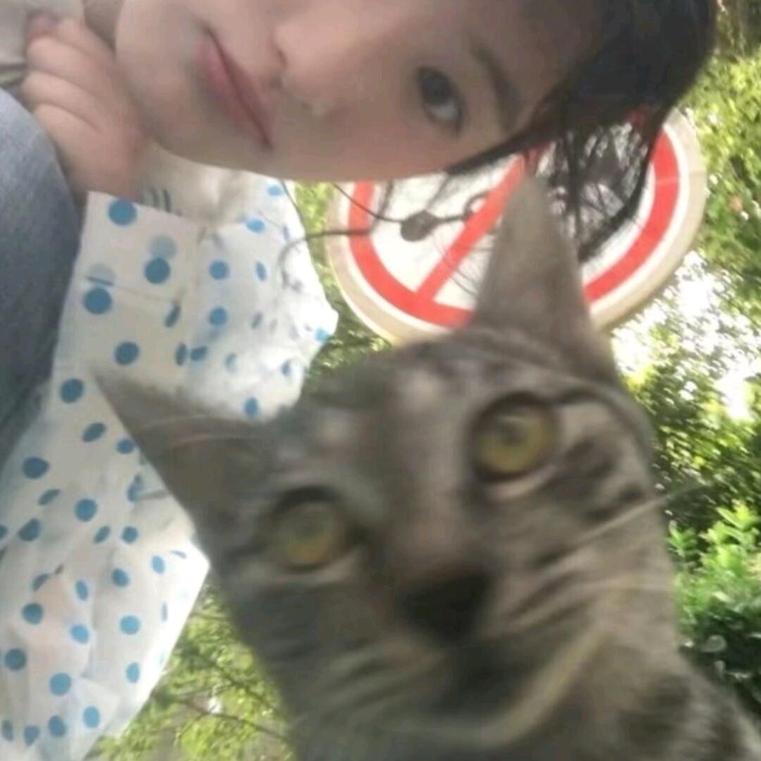 鱼喵喵
