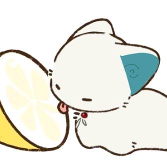 书耶