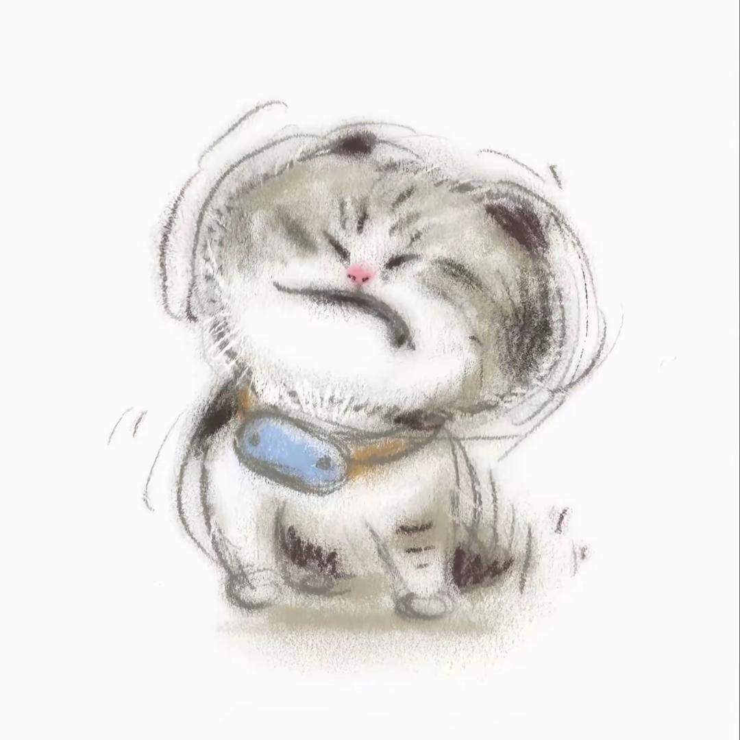 回到山里的搞笑猫
