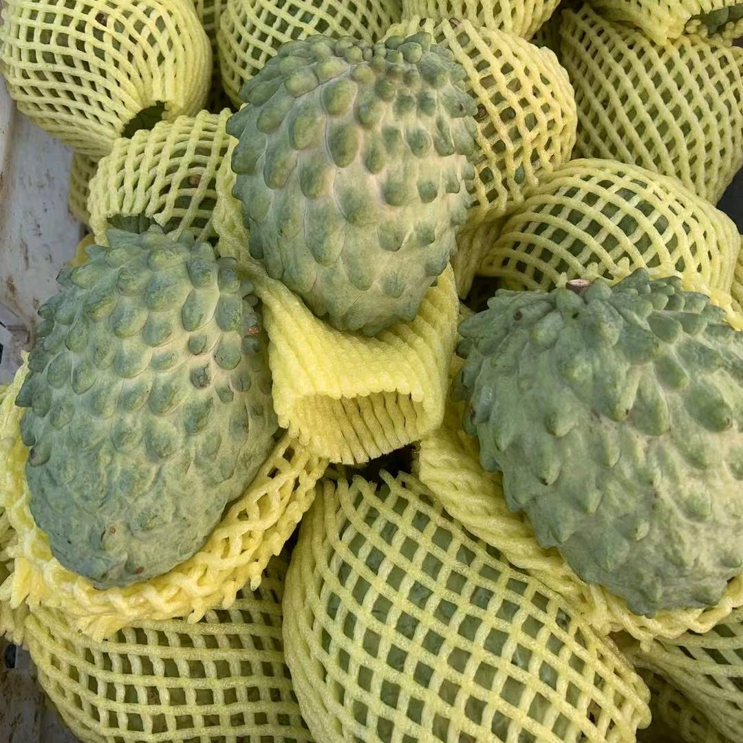 江少