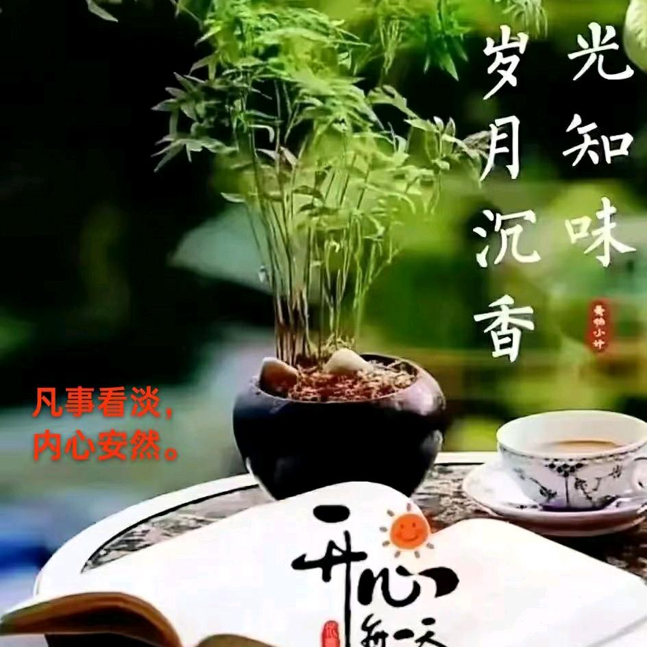 附近有座山