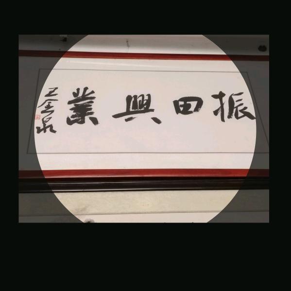 贝壳