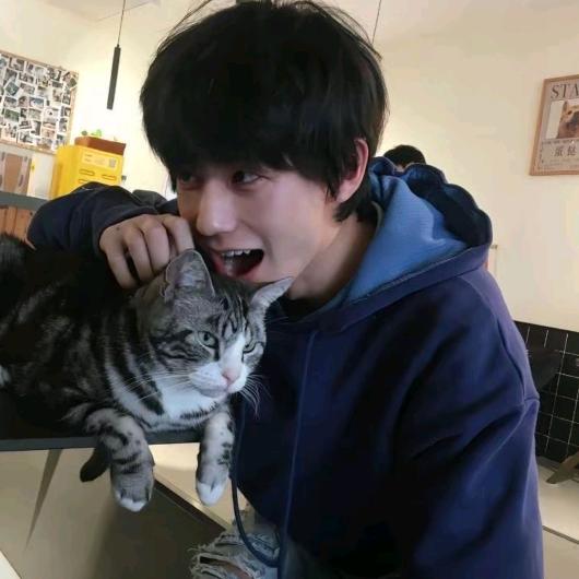 也许