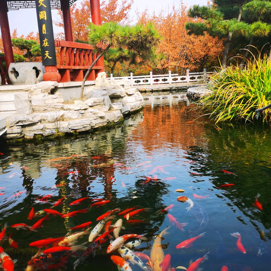 叮咚泉水