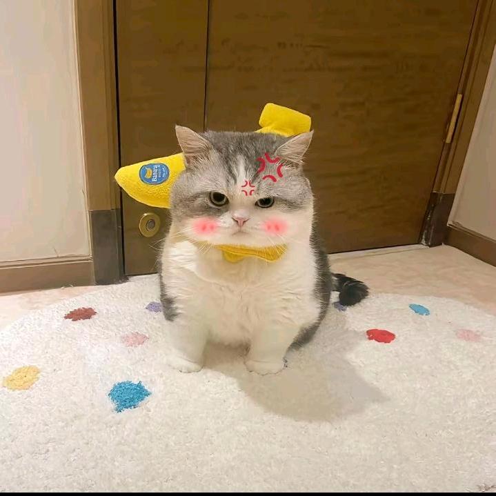 小刘