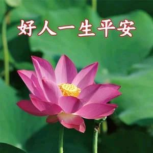 好人一生平安