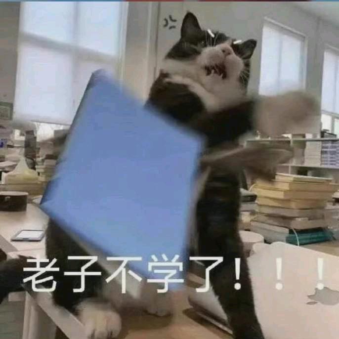 天哥