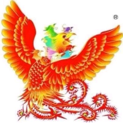 🇨🇳九頭鳥🇨🇳
