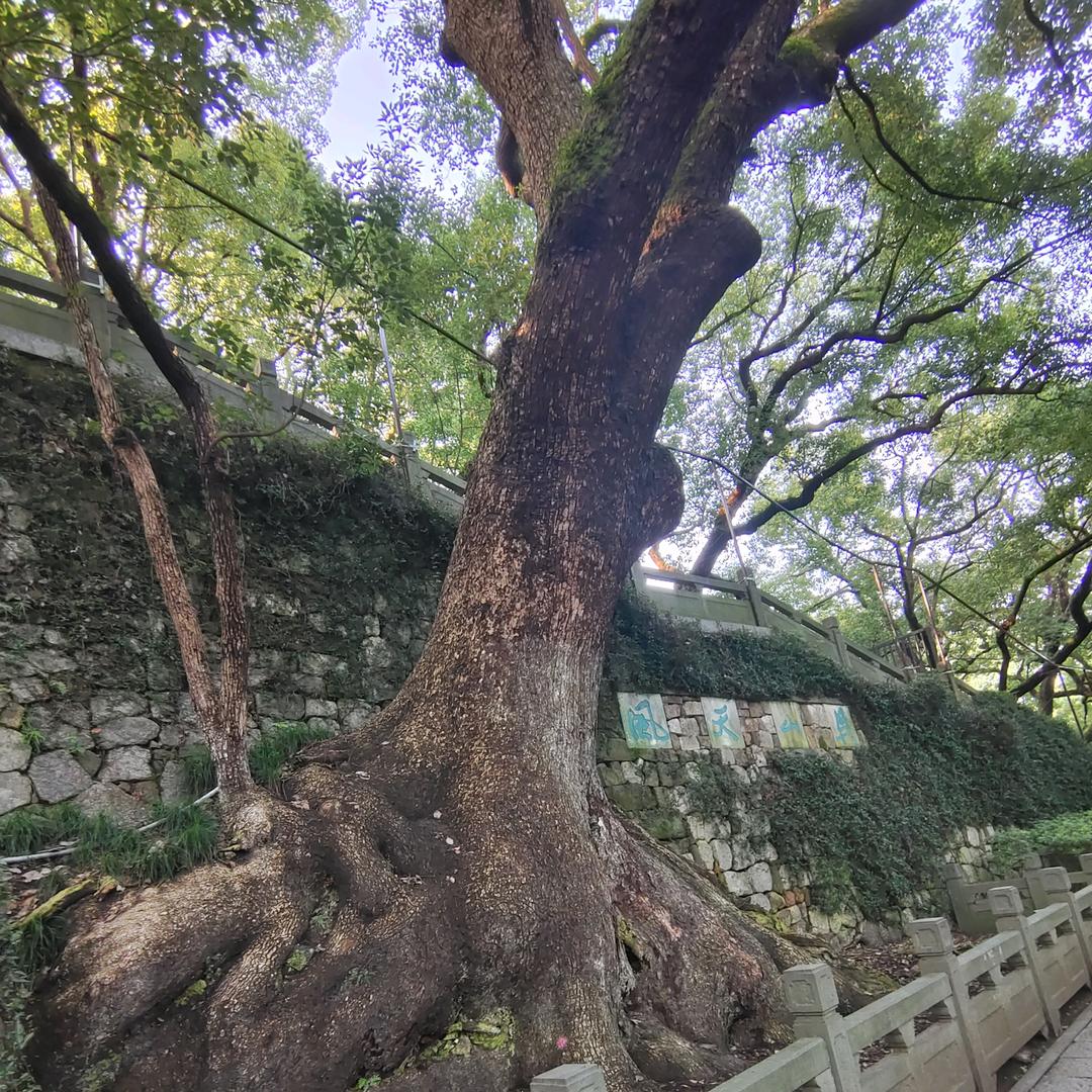 知足长寿