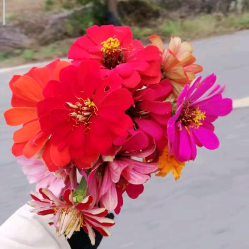 💗᭄给我三分之一阳光